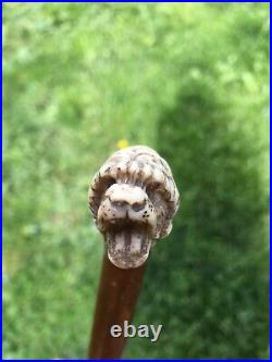 ANCIEN POMMEAU CANNE OMBRELLE TETE DE CHIEN SCULPTE umbrella DOG HEAD handle