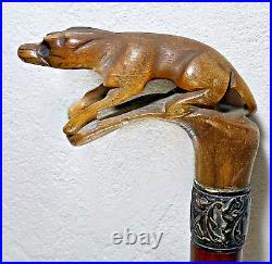 ANCIENNE CANNE en BOIS POMMEAU en CORNE BLONDE SCULPTÉE d'un CHIEN XIXème 89cm