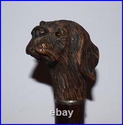 Ancien pommeau de canne en bois sculpté tête de chien