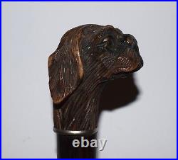 Ancien pommeau de canne en bois sculpté tête de chien