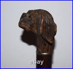 Ancien pommeau de canne en bois sculpté tête de chien