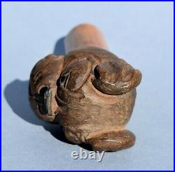 Ancien pommeau de canne tête de chien bouledogue en bois sculpté