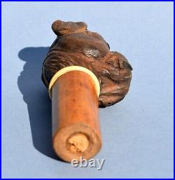 Ancien pommeau de canne tête de chien bouledogue en bois sculpté