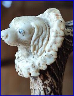 Ancienne Canne tête de chien sculpté dans bois de cerf/pommeau canne ancien