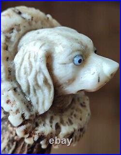 Ancienne Canne tête de chien sculpté dans bois de cerf/pommeau canne ancien