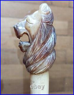 Ancienne Canne tête de chien sculpté dans corne/pommeau canne ancien/monogramme