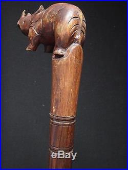 Ancienne canne bois sculpté rhinocéros Wooden carved cane 95cm
