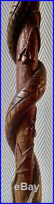Ancienne canne de poilus en bois sculptée Serpent sur branche WW1 art populaire