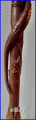 Ancienne canne de poilus en bois sculptée Serpent sur branche WW1 art populaire
