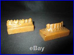 Ancienne matrice de dentiste dents en bois sculpté XIX ème