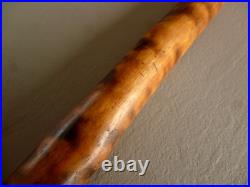 Art populaire Canne ancienne en bois sculpté monoxyle Walking stick grostesque