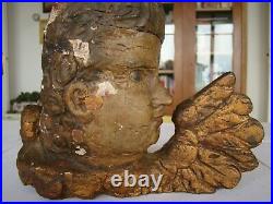 Bois sculpté, polychrome, très ancien, d'une tête d'homme #959#