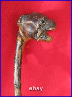 CANNE ANCIENNE BOIS SCULPTE BULLDOG / art populaire walking stick