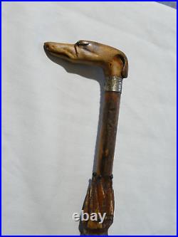 Canne ancienne imitation parapluie en liège poignée tète de chien sculptée