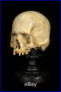 Étonnante vanité crâne ancien bois sculpté c. 1880 Cabinet Curiosité Memento Mori