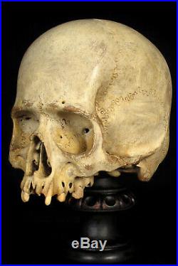 Étonnante vanité crâne ancien bois sculpté c. 1880 Cabinet Curiosité Memento Mori