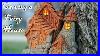 I-Carve-A-Fairy-House-From-Cottonwood-Bark-01-lb