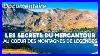 Les-Secrets-Du-Mercantour-Des-Racines-Et-Des-Ailes-Documentaire-Complet-01-iftt