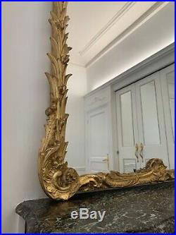 Très Rare Grand Ancien miroir doré Louis XV sculpté feuilles Palmier Coquille